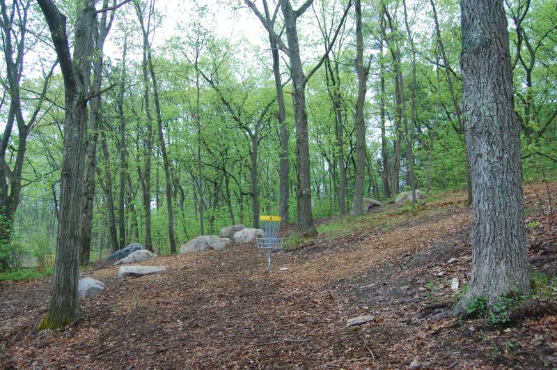 Peabody Disc Golf at Scouting Woods Professional Disc Golf Association